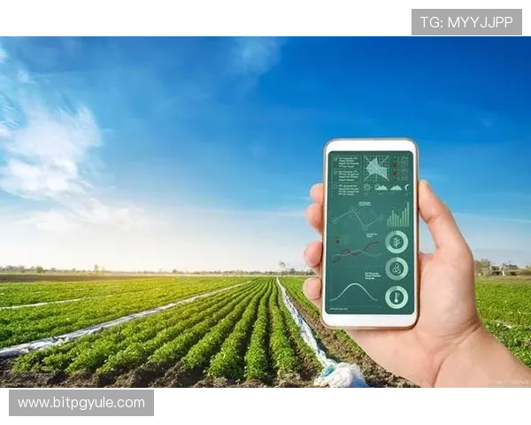 全面解析ag免费试玩网站的优势与使用方法,助你轻松试玩各种游戏 全面解析ag免费试玩网站的优势与使用方法,助你轻松试玩各种游戏